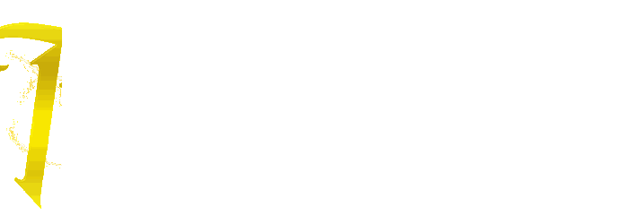TWINSPIN77